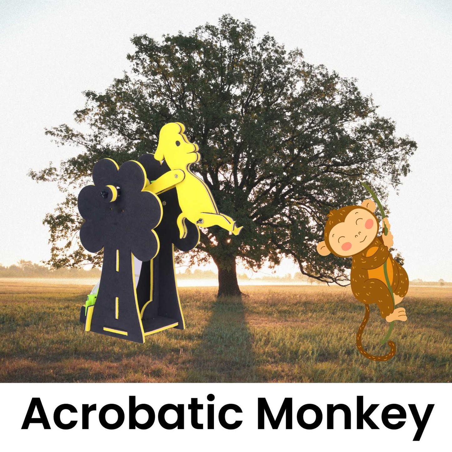 Acrobatic Monkey Project Sheet