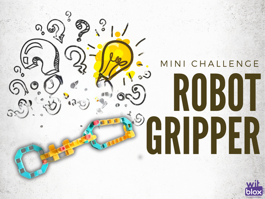 Robotic Gripper - Mini Challenge