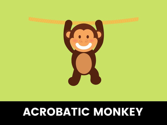 Acrobatic Monkey