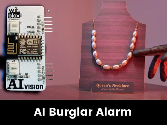 AI Burglar Alarm