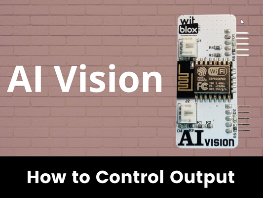 AI Vision - How to Control Output