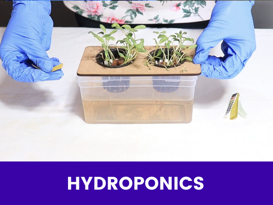 Hydroponics