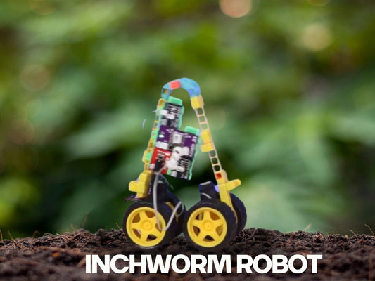 Inchworm Robot