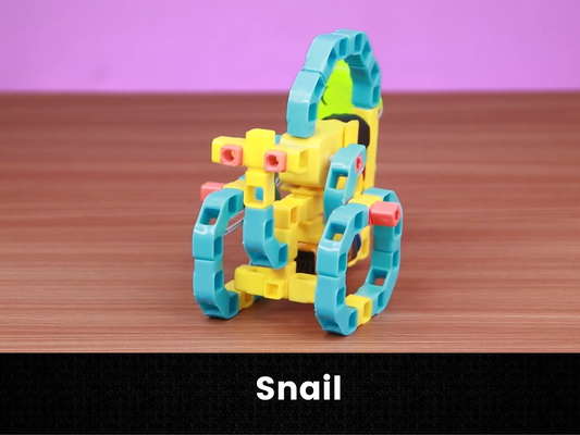 Snail