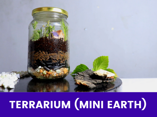 Terrarium (Mini Earth)