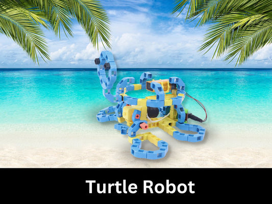 Turtle Robot