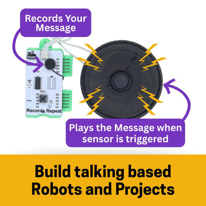 Witblox DIY Talking Robot Kit
