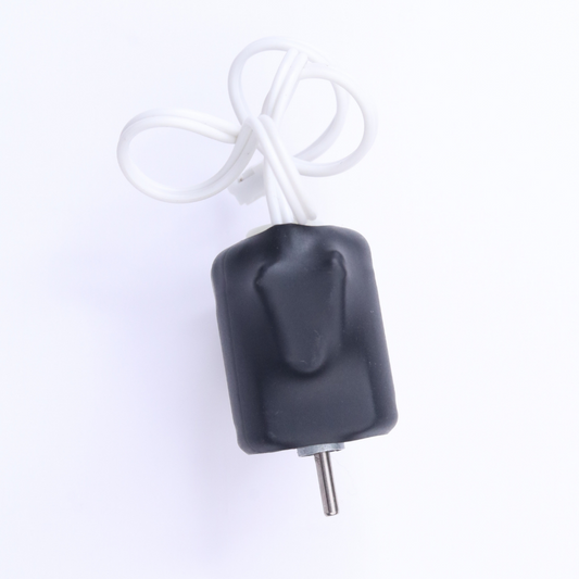 DC Motor
