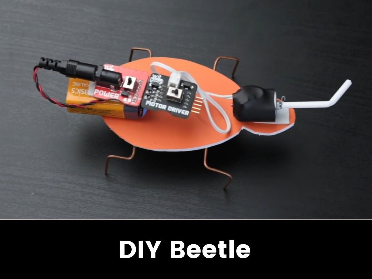 DIY Beetle Project Kit – WitBlox