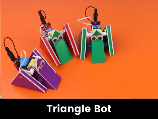 Miscellaneous Parts for Triangle Bot Project Set