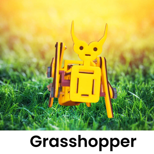 Grasshopper Project Sheet