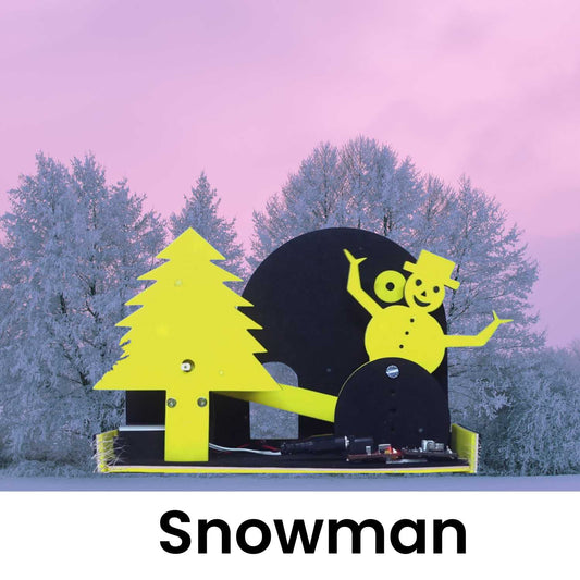 Snowman Project Set